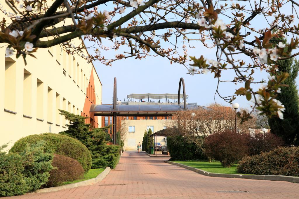 Centrum Konferencyjne Ibib Pan 바르샤바 외부 사진